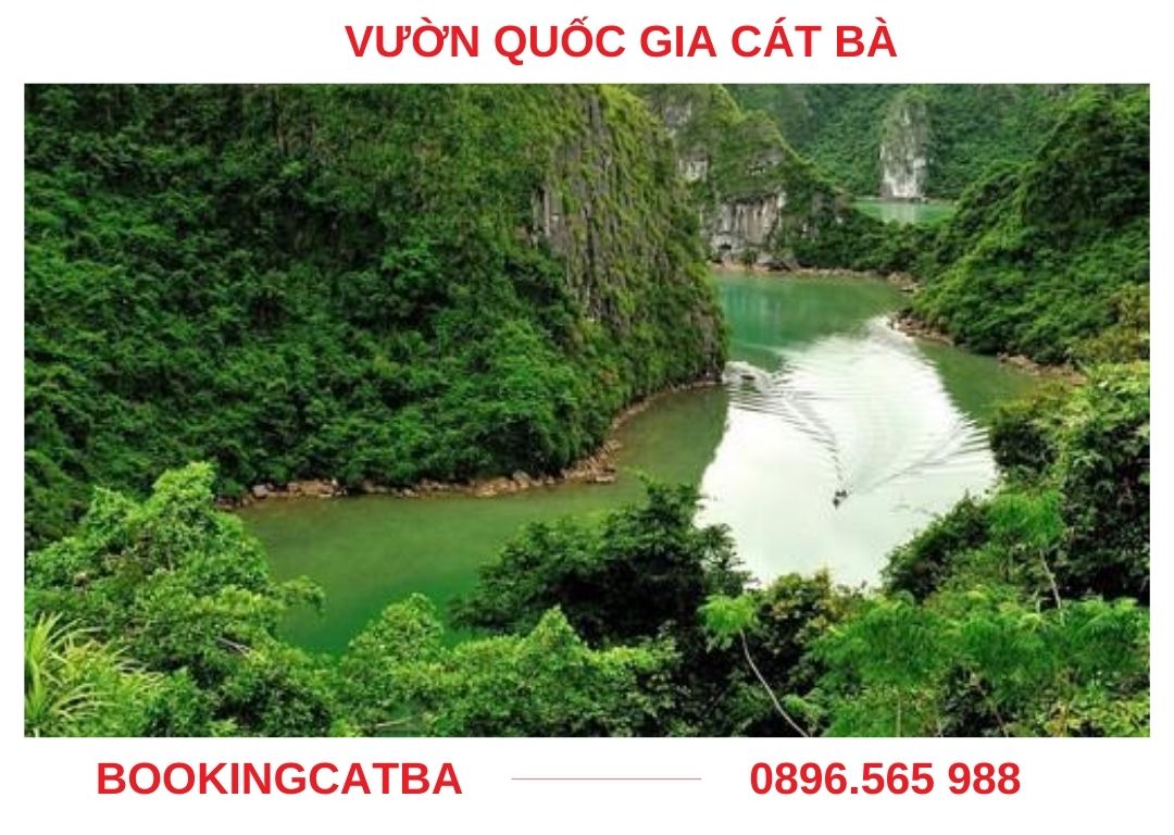 hệ sinh thái rừng ngập mặn trong vườn quốc gia
