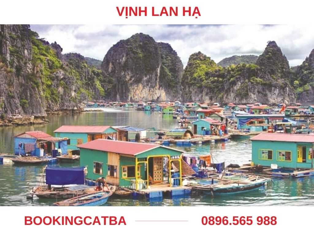 Khám phá cuộc sống bình dị của ngư dân tại làng chài nổi trên Vịnh Lan Hạ.