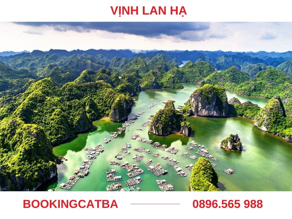 Toàn cảnh Vịnh Lan Hạ với vẻ đẹp hoang sơ và hùng vĩ.