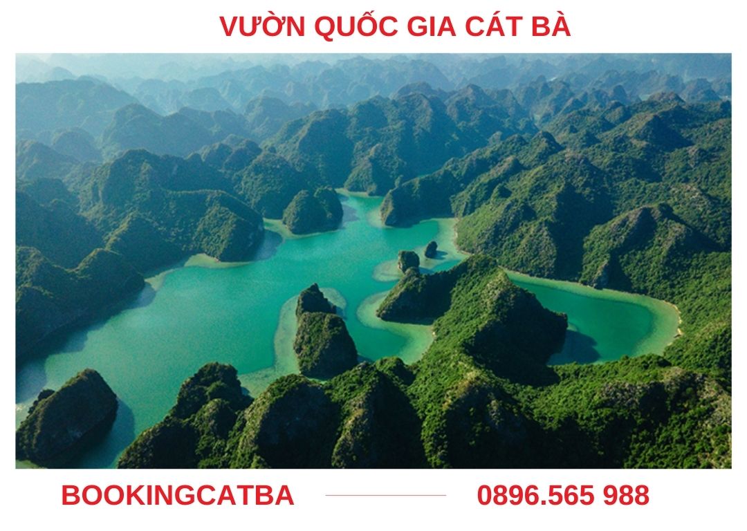 Toàn cảnh Vườn Quốc gia Cát Bà với hệ sinh thái rừng đa dạng.